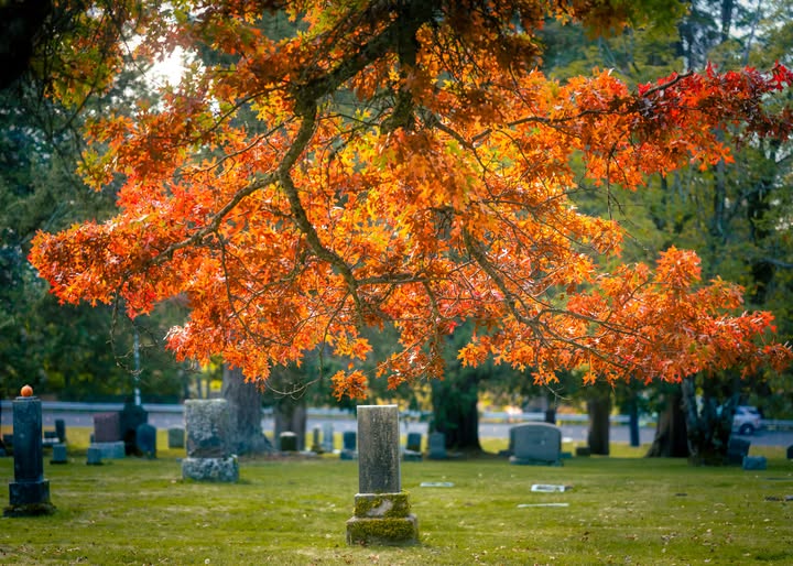 Historical monuments of Bayview Cemetery